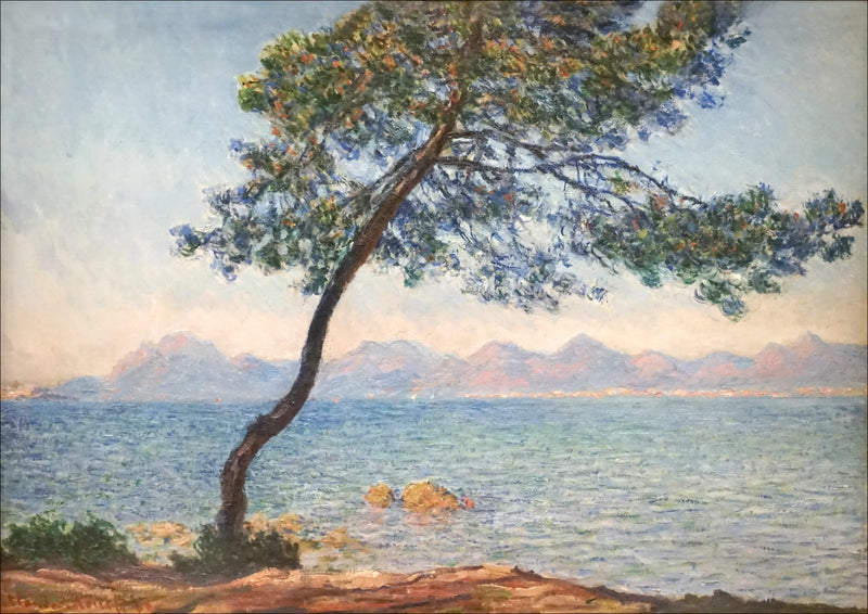 De antibakteriella - Claude Monet