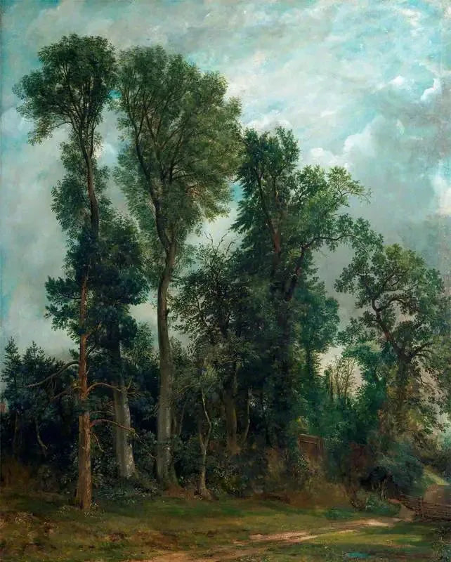 Hampstead-träden: vägen till kyrkan - John Constable