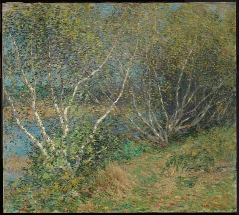 Björkar - Willard Metcalf