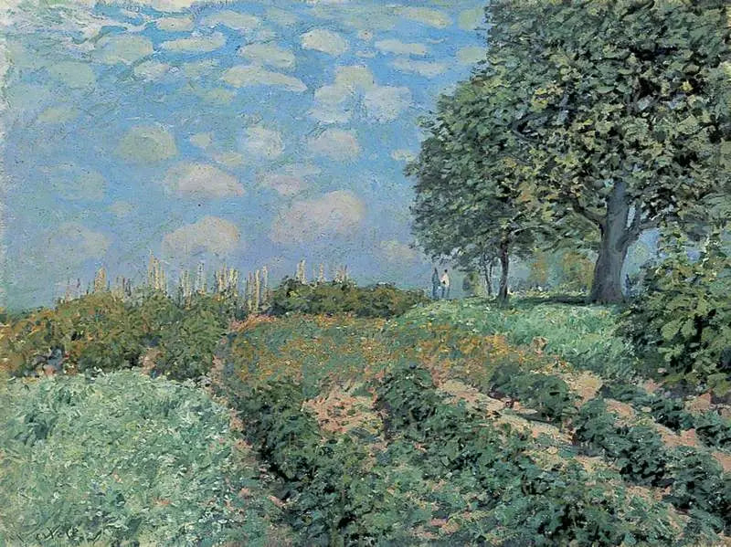 Fälten - Alfred Sisley