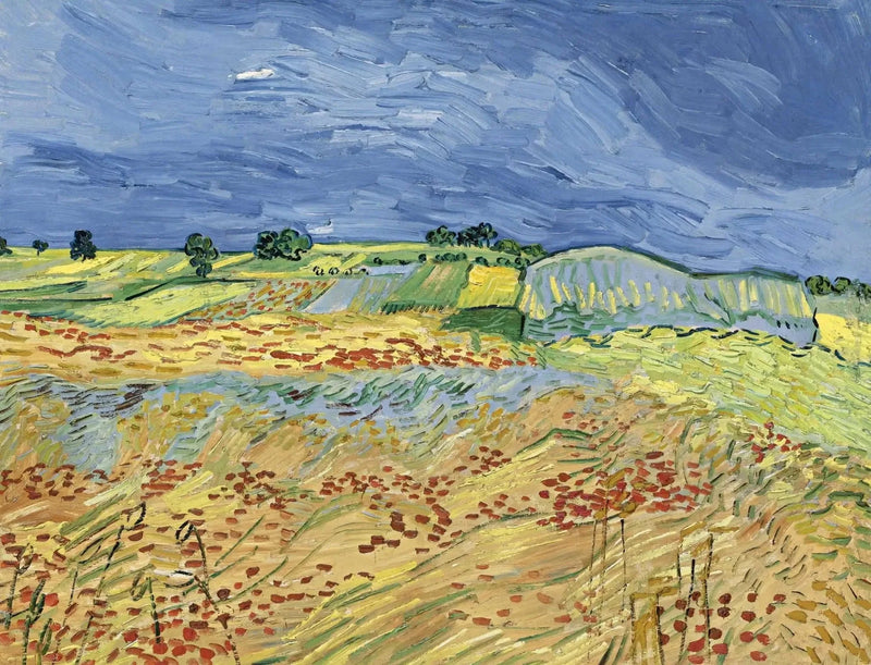 Fälten - Vincent van Gogh