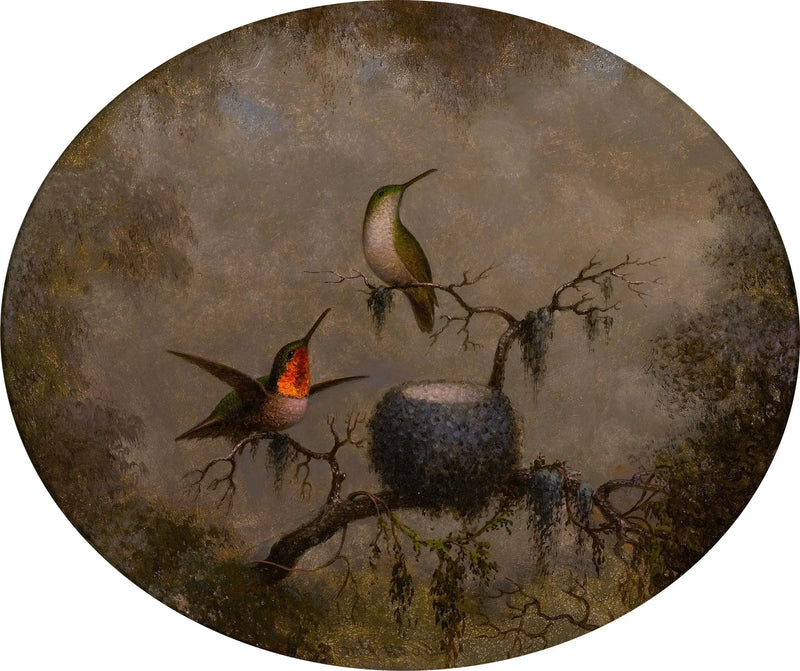 Kolibrier och deras bo - Martin Johnson Heade