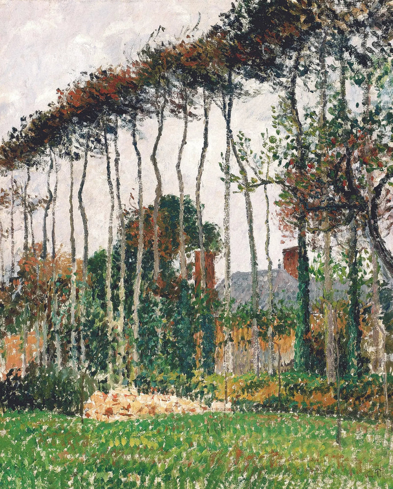 De stora bokarna i Varengeville - Camille Pissarro