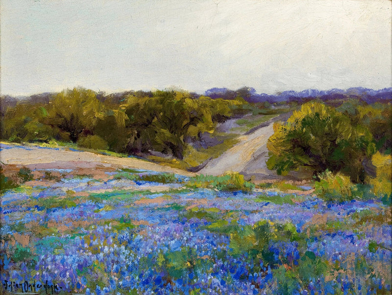 Les lupins bleus en fin d'après-midi - Julian Onderdonk  
Blå lupiner i slutet av eftermiddagen - Julian Onderdonk