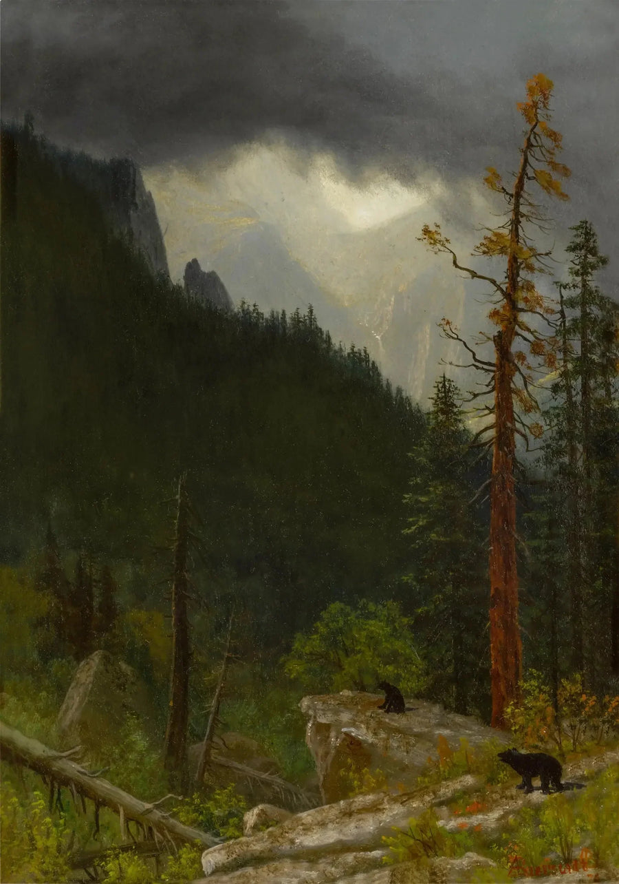 Rocheuses efter en storm - Albert Bierstadt