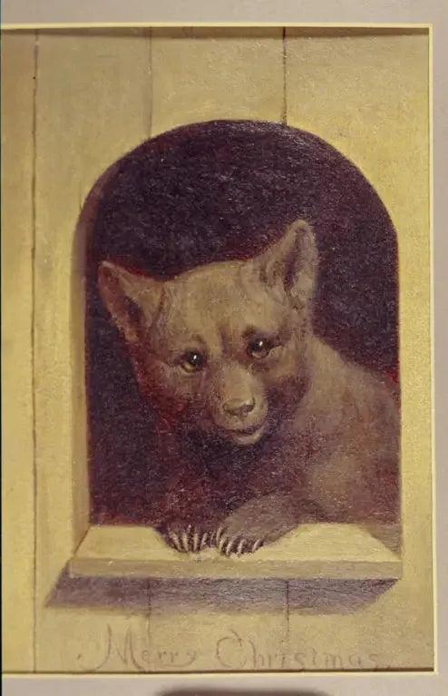 Teddys julönskningar - William Holbrook