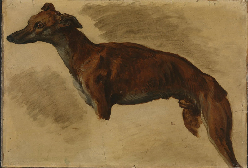 Vinthund - Eugène Delacroix