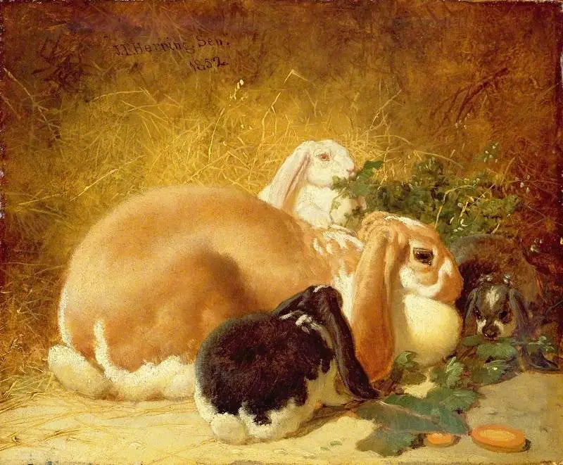 Belgiska harar - John Frederick Herring, Sr.