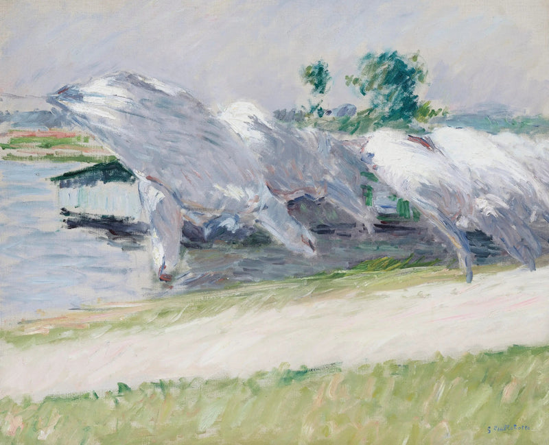 Torkande linne, Petit Gennevilliers - Gustave Caillebotte