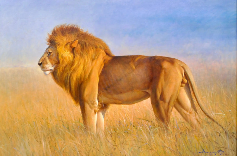 Lejon på savannen | 150 x 100 cm
