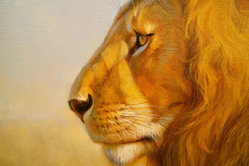 Lejon på savannen | 150 x 100 cm