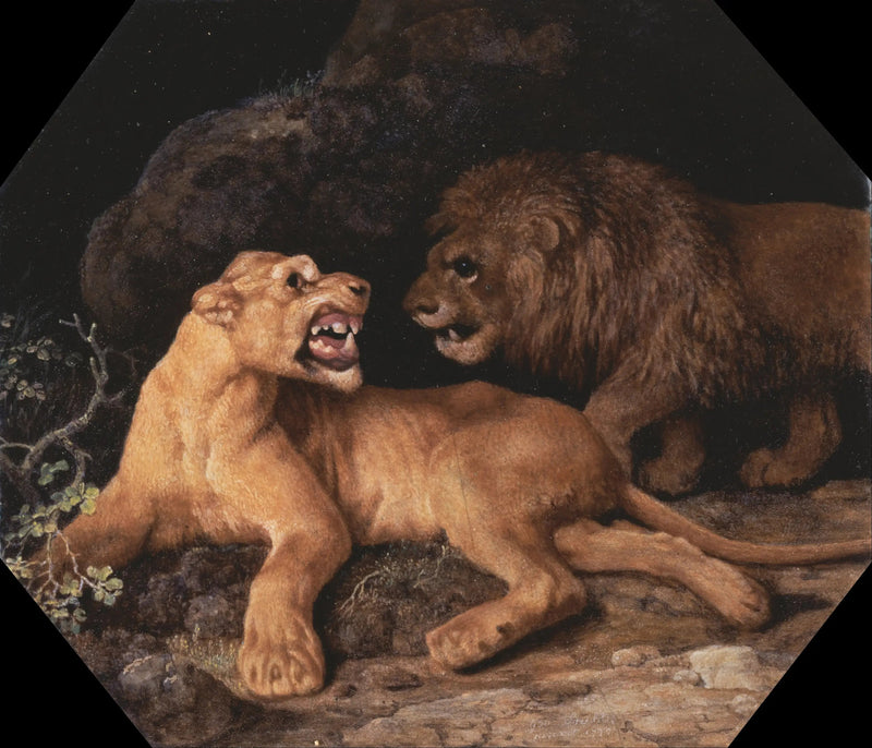 Lejon och Lejoninna - George Stubbs