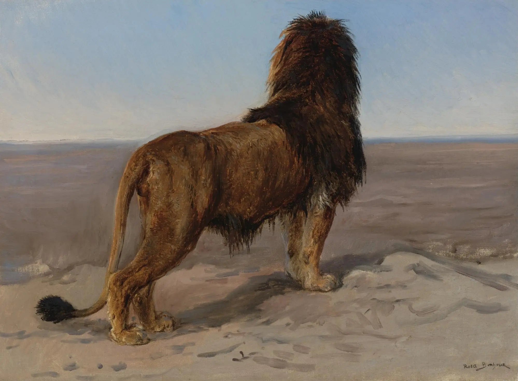 Lion (Le guetteur) - Rosa Bonheur - Alpha Reproduction