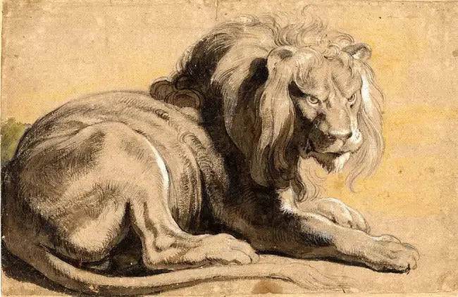 Lejon - Peter Paul Rubens
