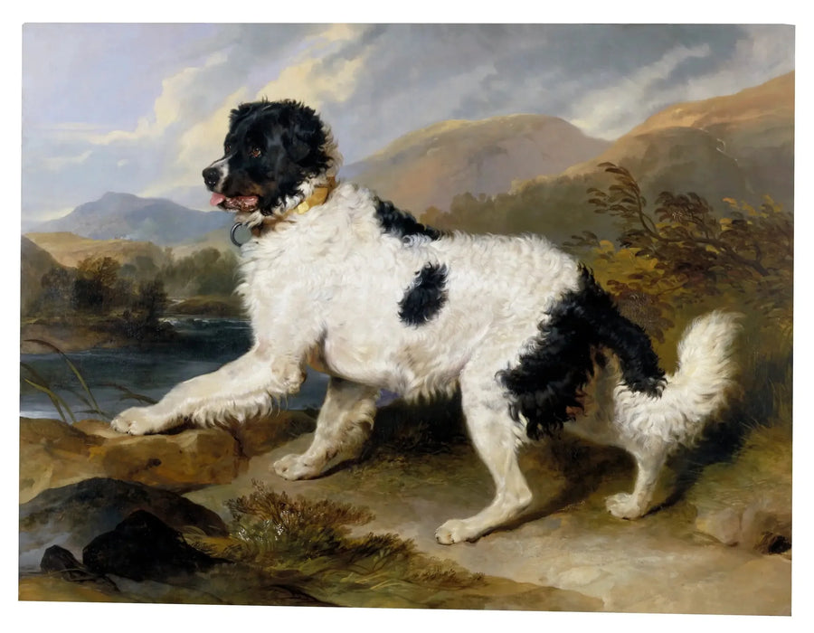 "Lion", en Newfoundlandshund - Edwin Henry Landseer
