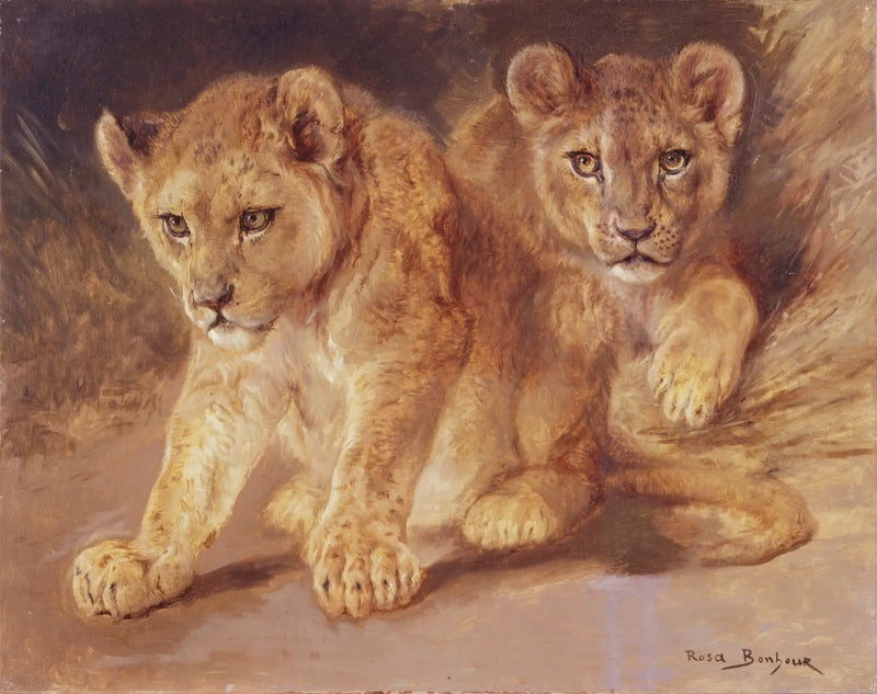 Lejonungar - Rosa Bonheur