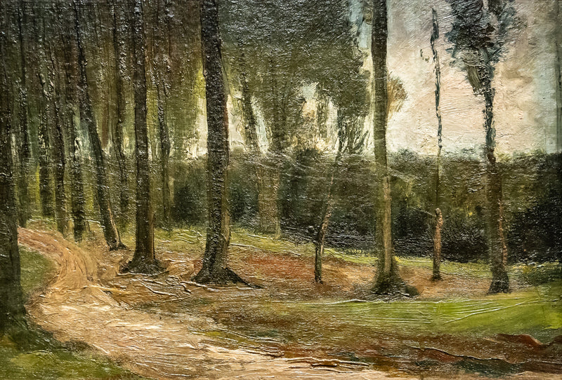 skogsbryn - Vincent van Gogh