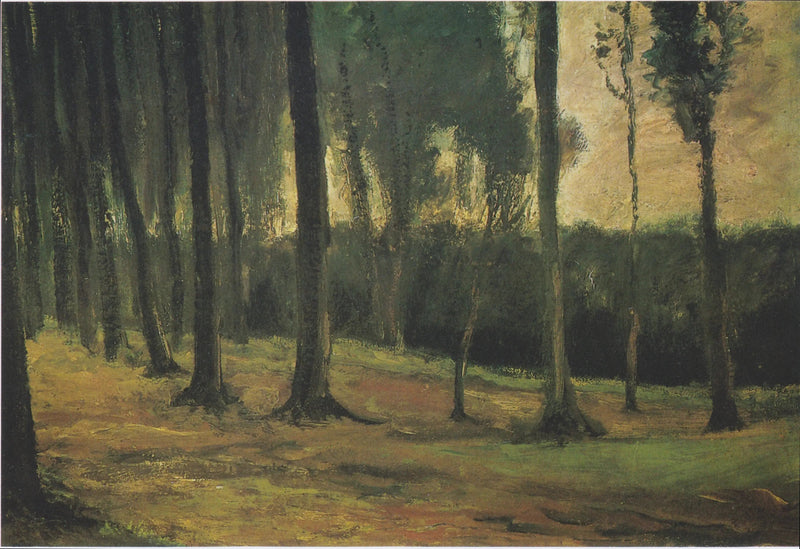 skogsbryn - Vincent van Gogh