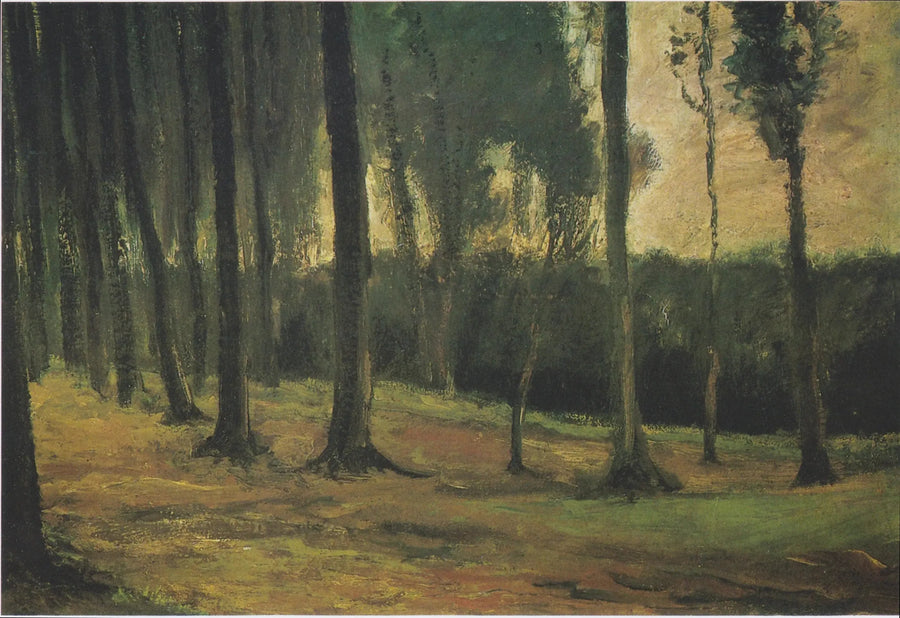 skogsbryn - Vincent van Gogh