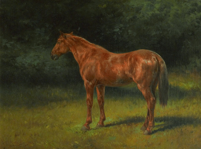 Röd krasse - Rosa Bonheur