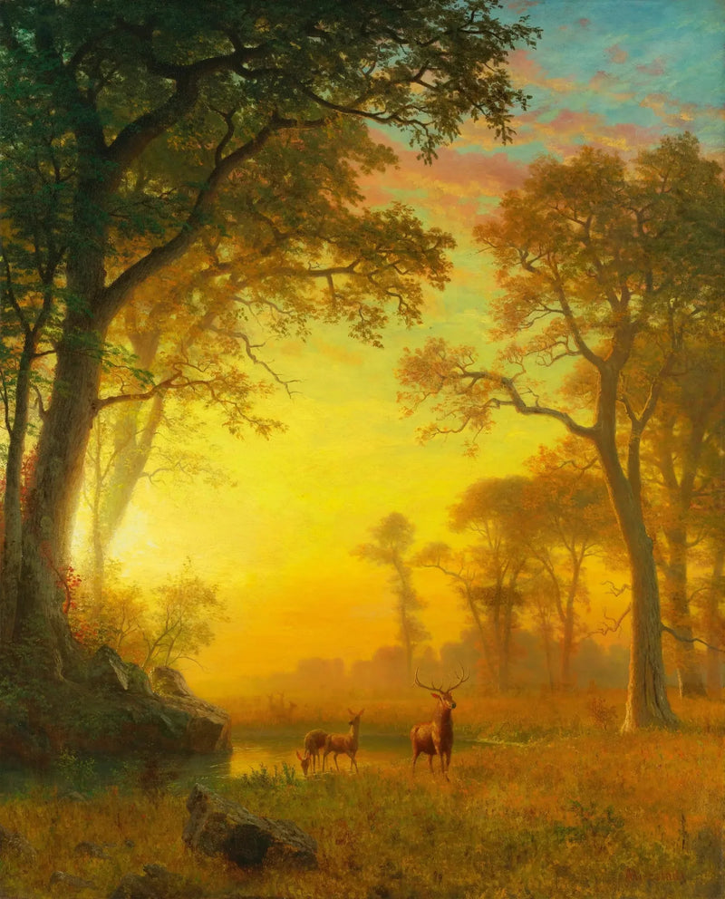 Ljus i skogen - Albert Bierstadt