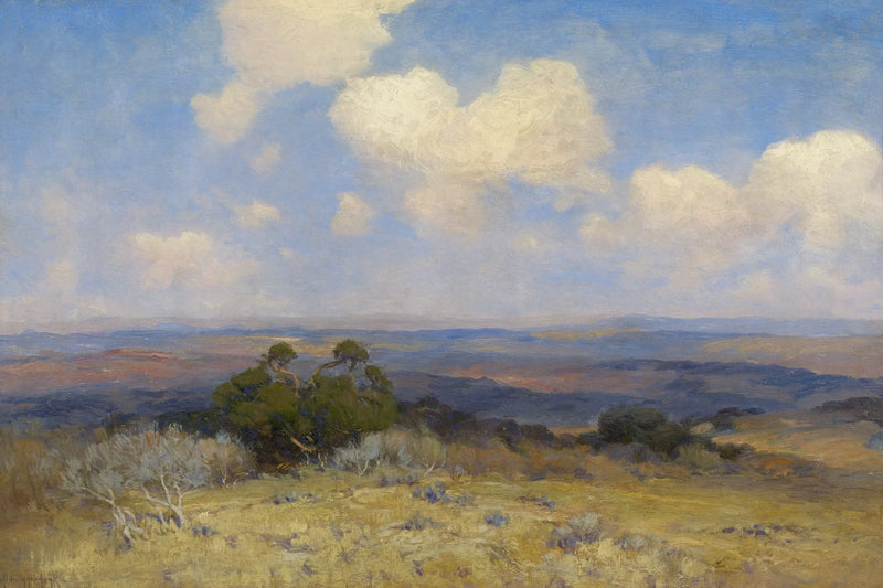 Solsken och skugga - Julian Onderdonk