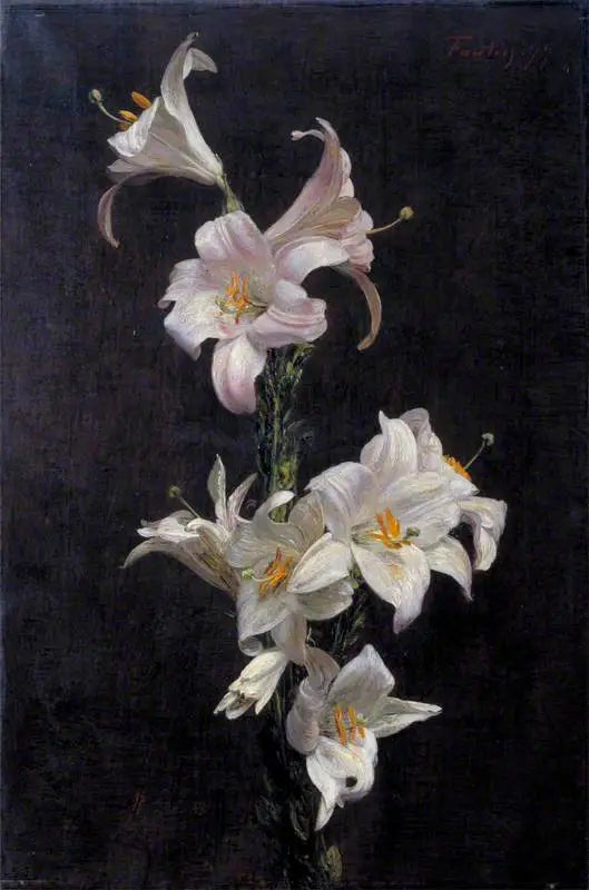 Vita ljus - Henri Fantin-Latour