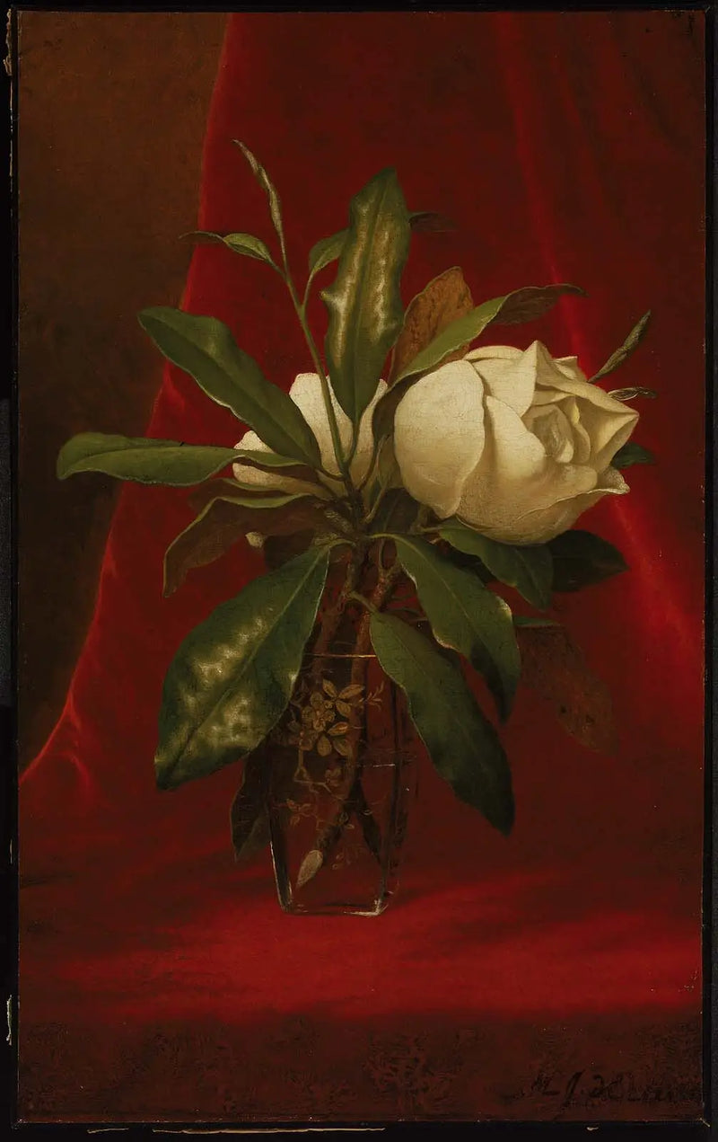Magnolior - Martin Johnson Heade