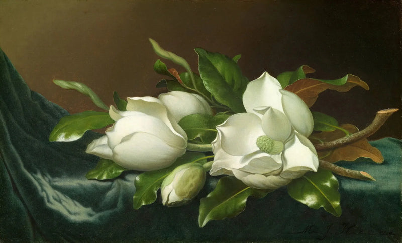 Magnolior på ljusblå sammetstyg - Martin Johnson Heade