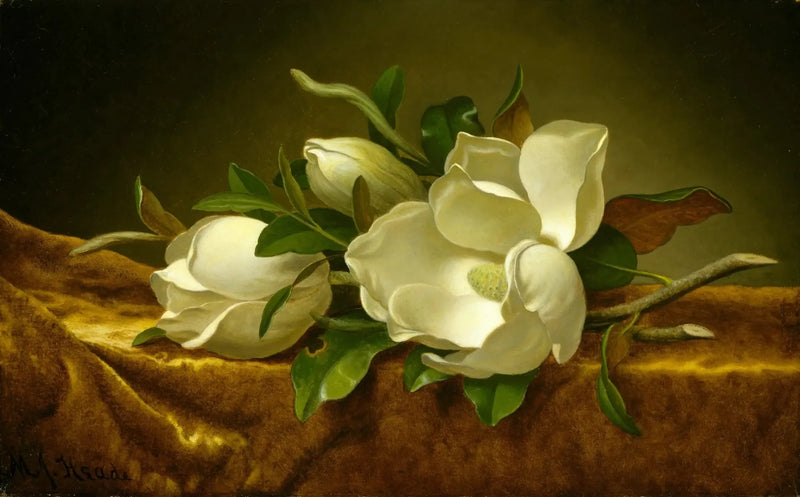 Magnolior på guldbelagd sammetstyg - Martin Johnson Heade