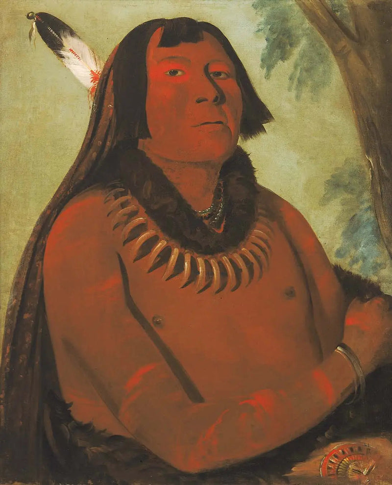 Mah-táhp-ta-a, skyndar sig till mitten, en modig - George Catlin