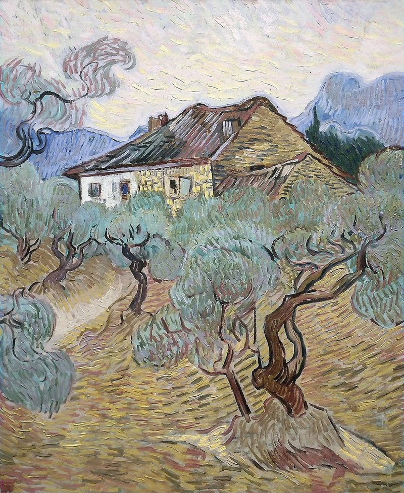 Det vita huset bland olivträden - Vincent van Gogh
