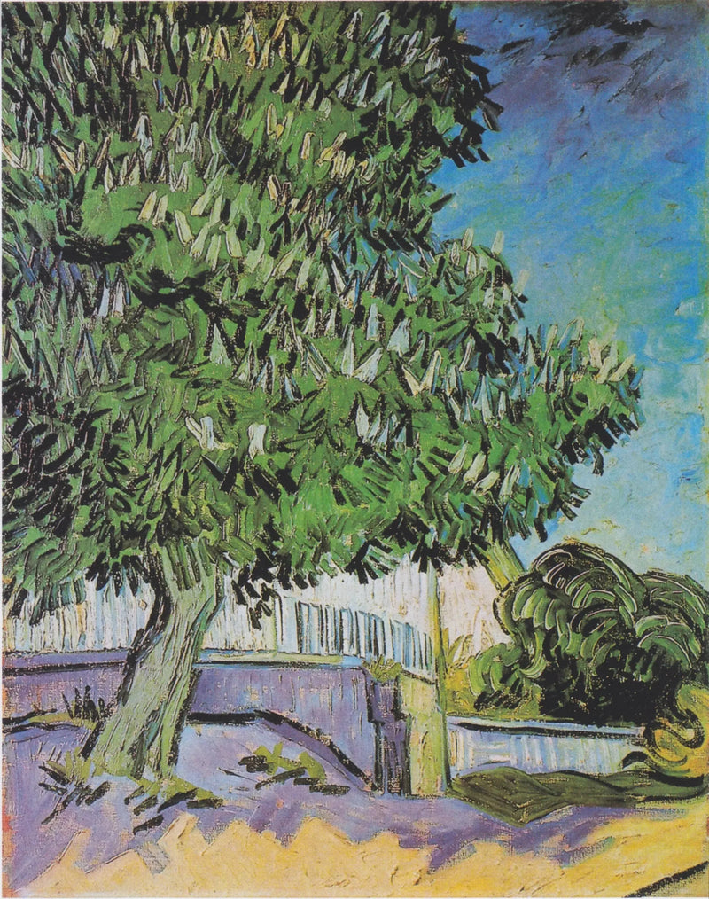 Blommande kastanjer - Vincent van Gogh