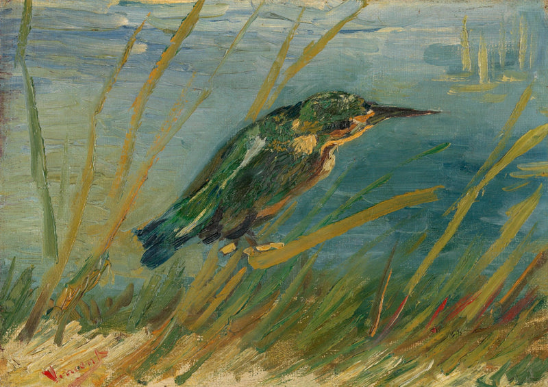 Isfågel vid vattenkanten - Vincent van Gogh