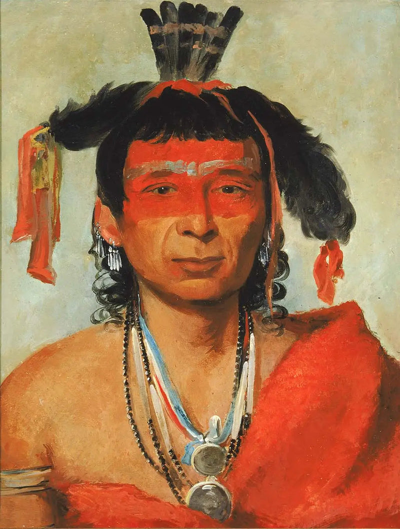 Másh-kee-wet, en stor dandyr - George Catlin