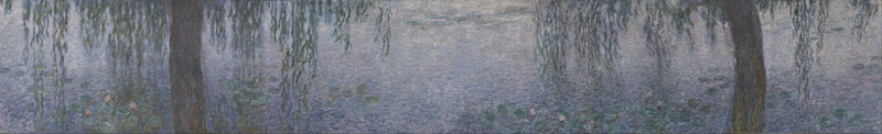 Näckrosor - Klar Morgon med Pilträd - Claude Monet