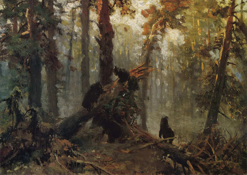 Förmiddag i en tallskog. Skiss - Ivan Chichkine