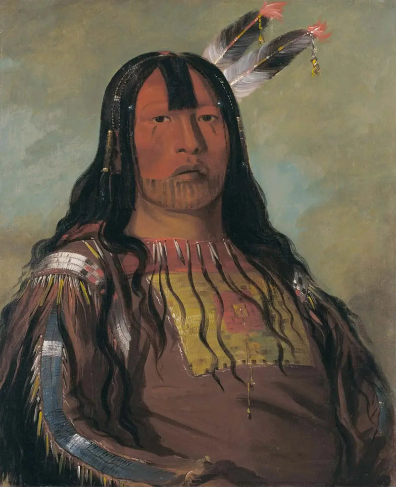 Mix-ke-móte-skin-na, Järnhorn, en krigare - George Catlin
