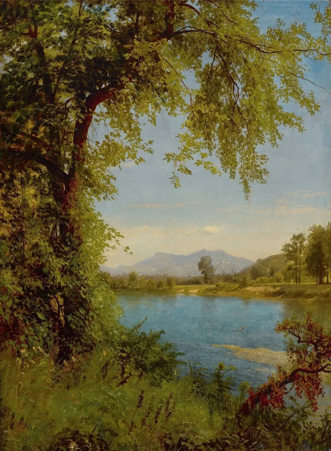 Montagnes des Douves Sud et Nord - Albert Bierstadt image 1 reproduction artisanale de tableau