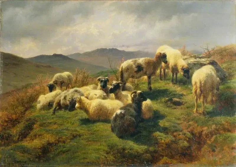 Får i Highlands - Rosa Bonheur