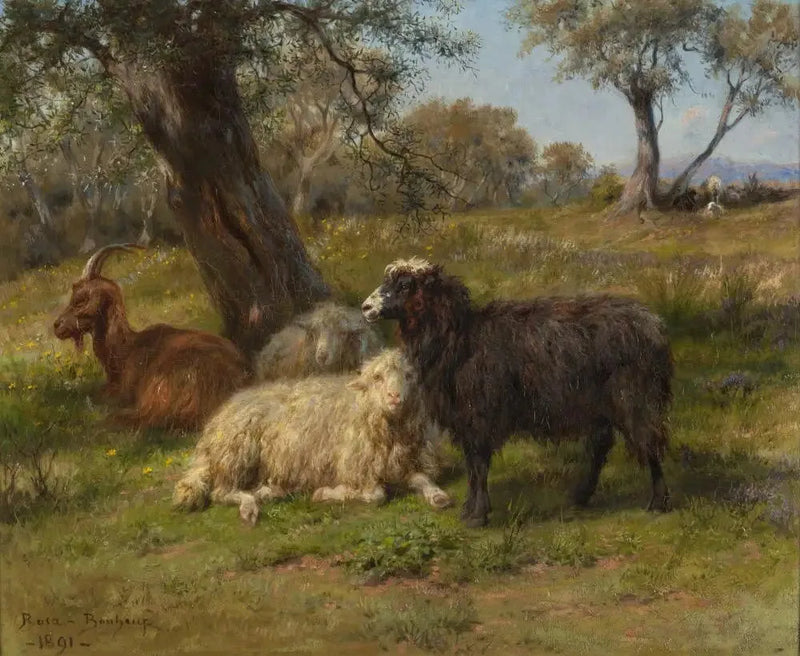 Får och getter - Rosa Bonheur