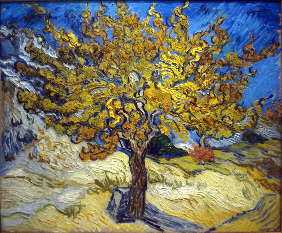 Mullbärsträdet - Vincent van Gogh