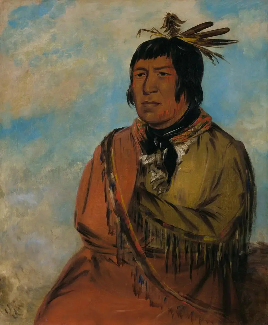 Na-pów-sa, Den nattresande björnen, en chef - George Catlin