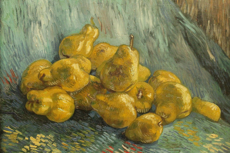 Stilleben med hörn - Vincent van Gogh