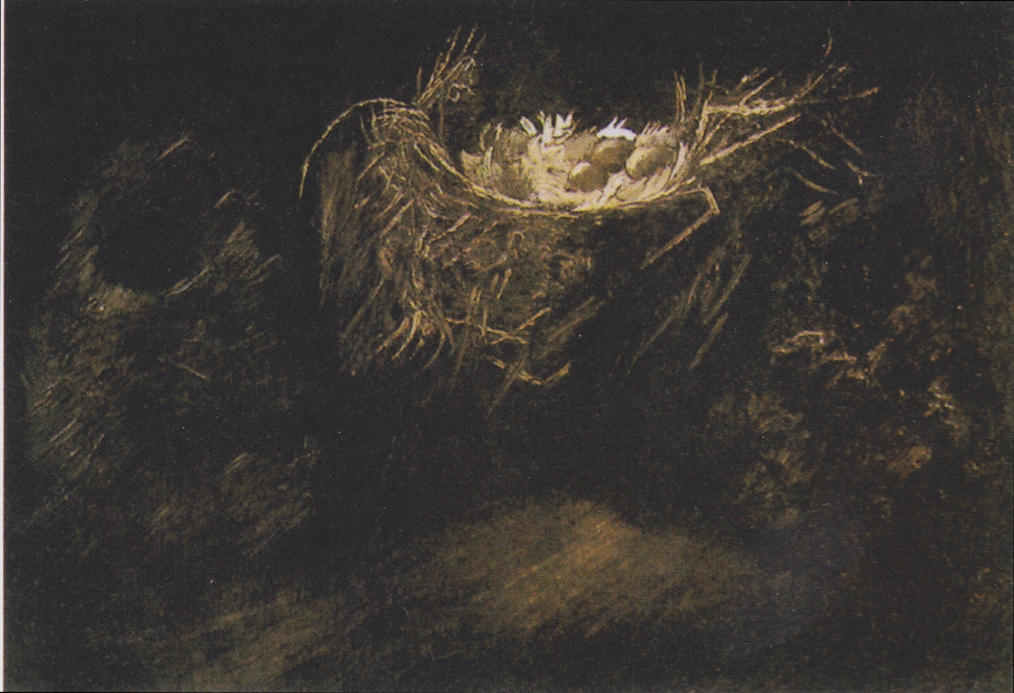 Reproduction du tableau « Nature morte aux trois nids d'oiseaux - Vincent van Gogh » par Alpha Reproduction en peinture à l’huile