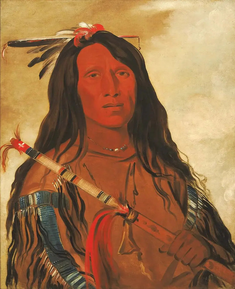 Né-hee-ó-ee-wóo-tis, Varg på kullen, Stamchef - George Catlin