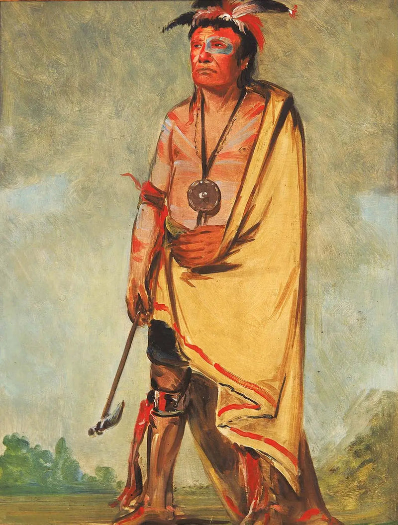 No-ak-chóo-she-kaw, Den som krossar buskarna - George Catlin