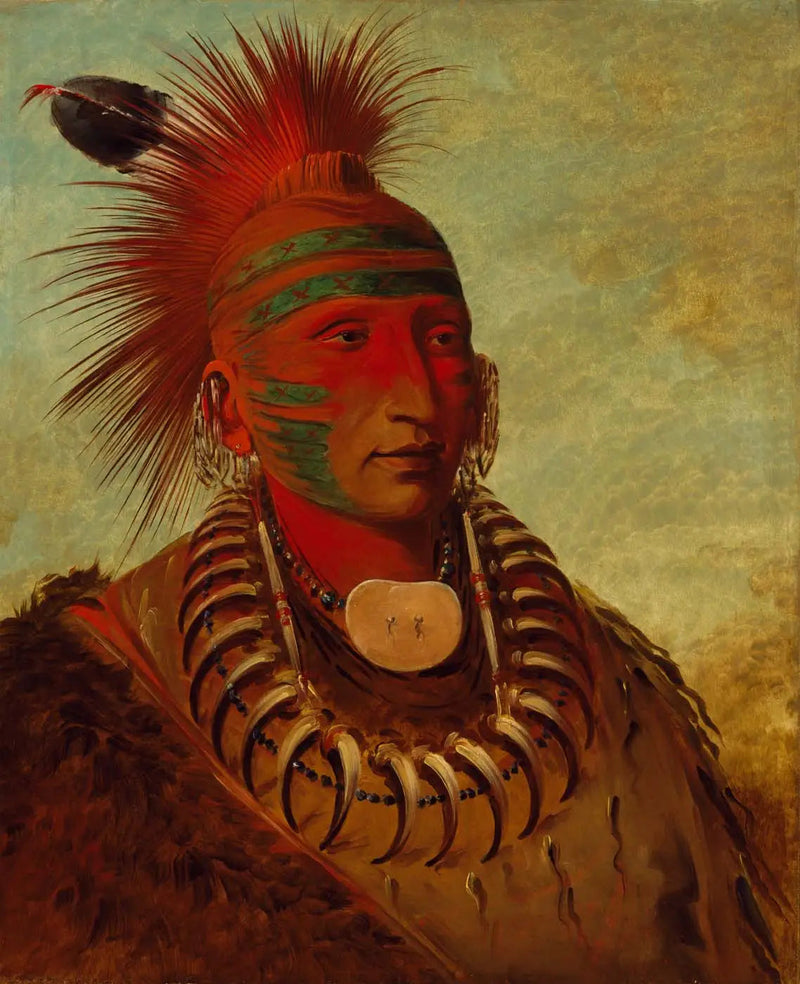 No-ho-mun-ya, Den som inte ägnar någon uppmärksamhet - George Catlin
