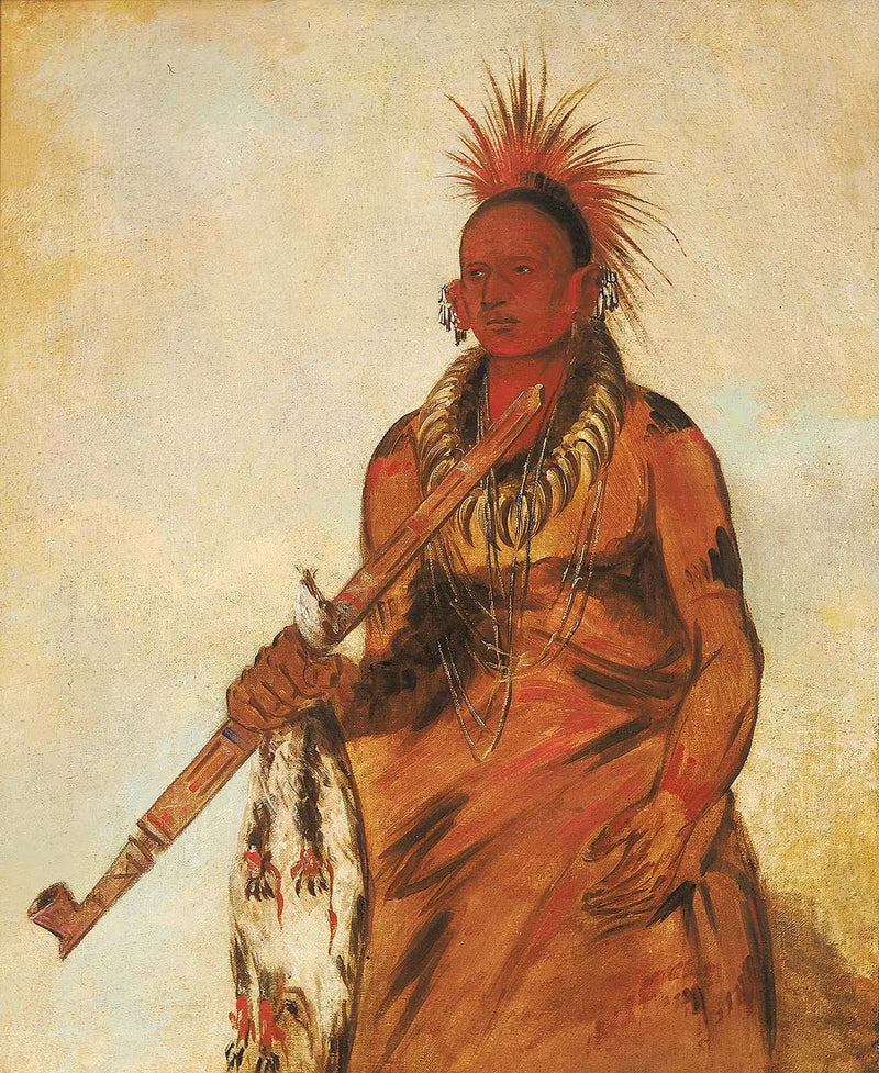 No-o-mún-nee, Går i regnet, en krigare - George Catlin