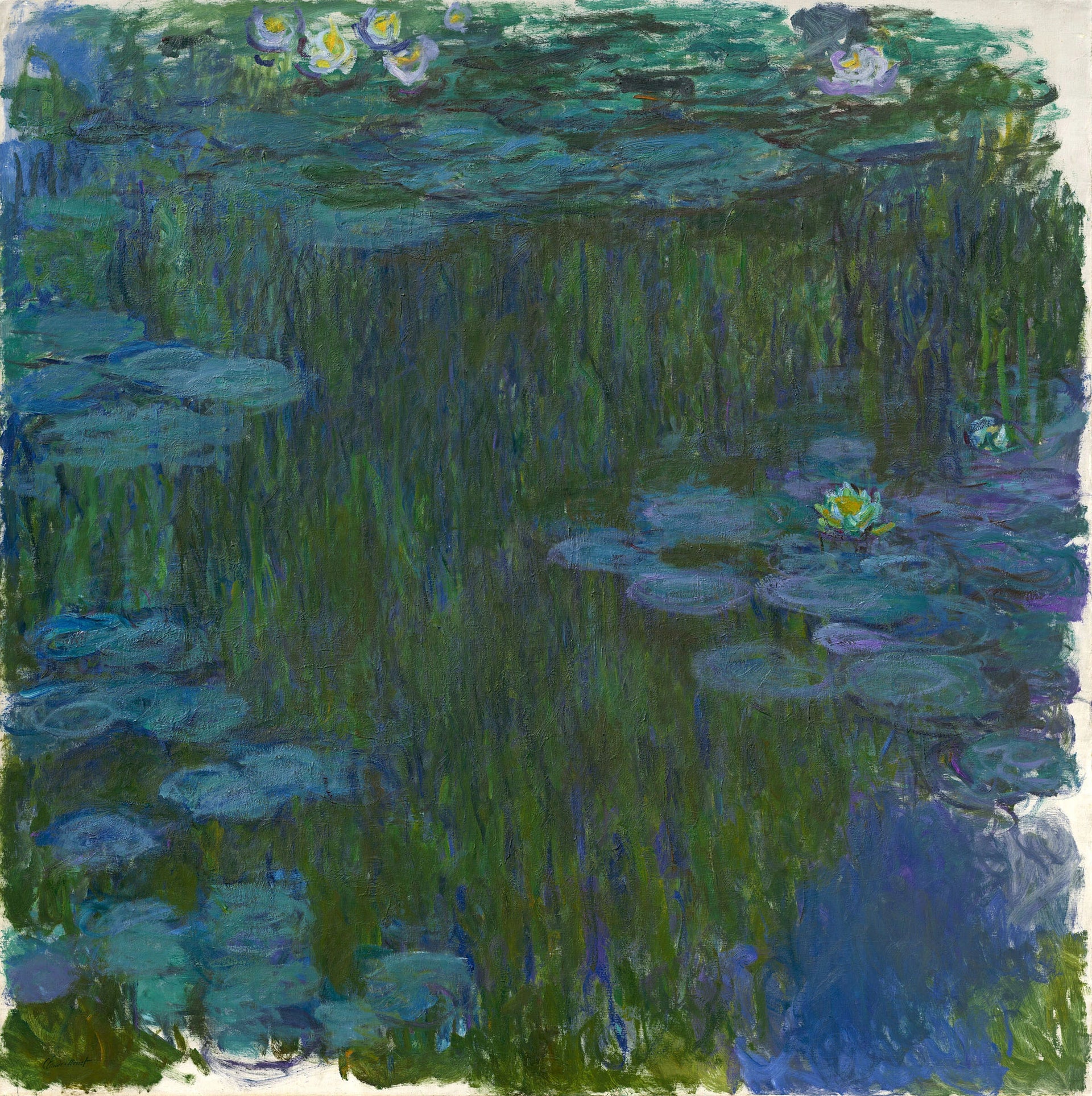 Nymphéas de Claude Monet, 1914–1917 – Museum Barberini MB-Mon-33, Wildenstein 1803